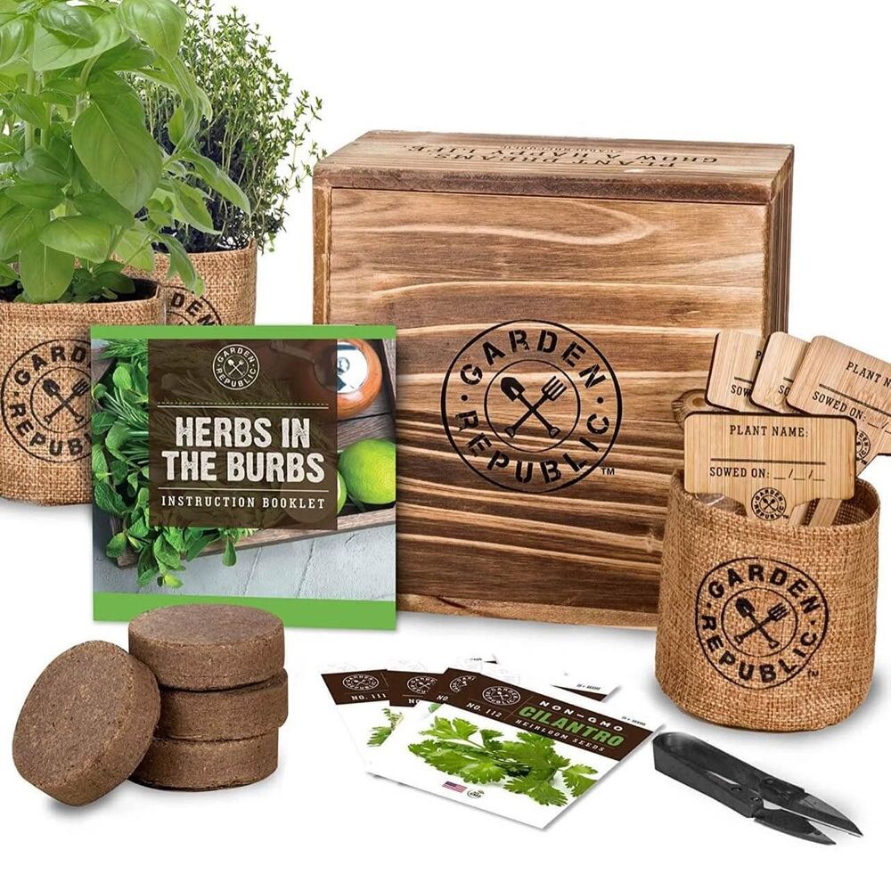 Indoor Herb Garden Starter Kit - Basil‎ Thyme Parsley Cilantro Seed